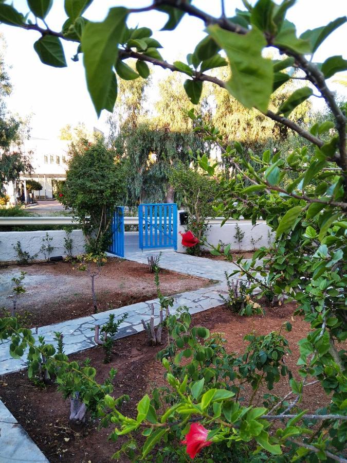 Cretanvibes Apartments Hersonissos (Crete) Exterior foto
