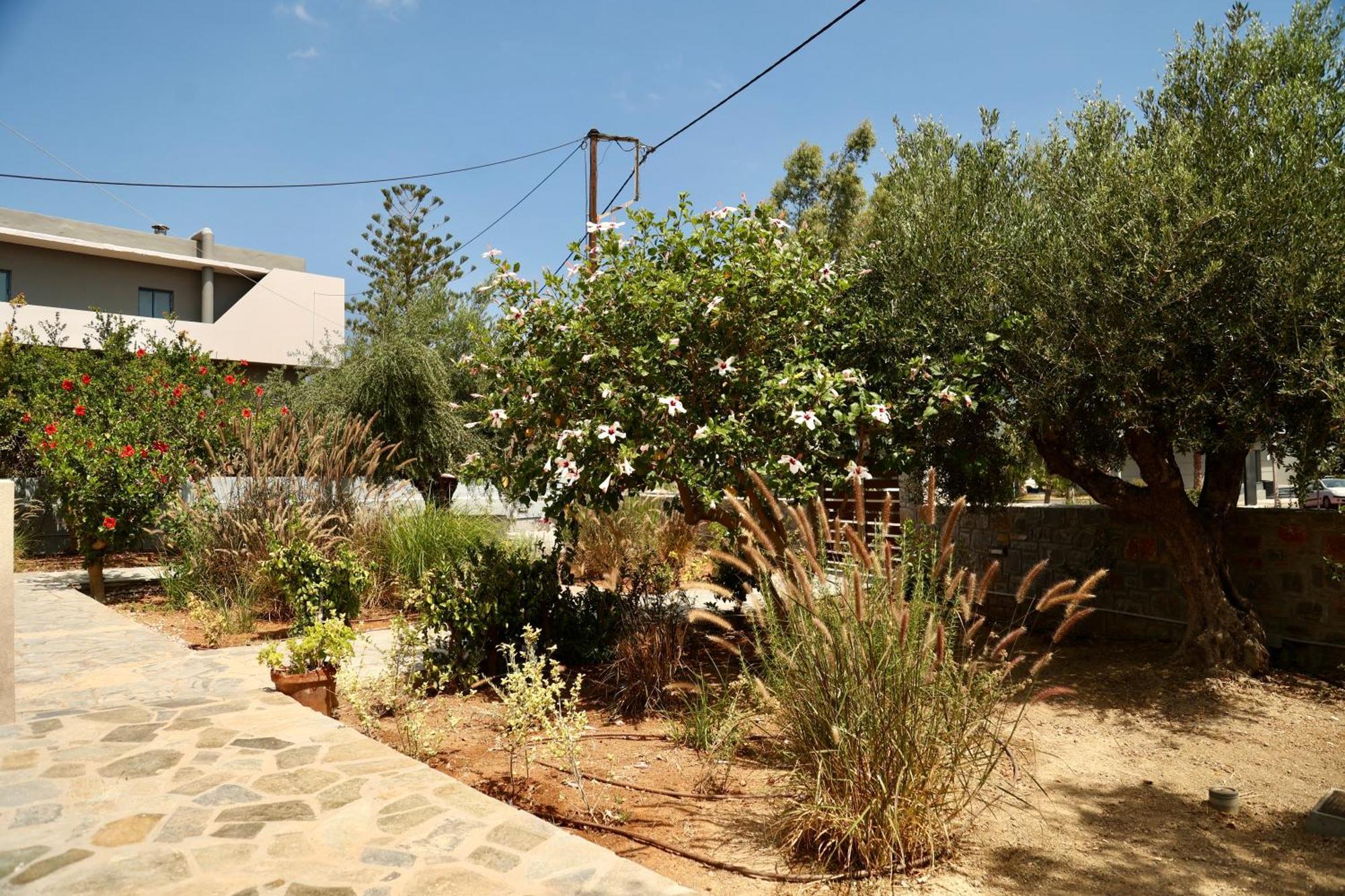 Cretanvibes Apartments Hersonissos (Crete) Exterior foto